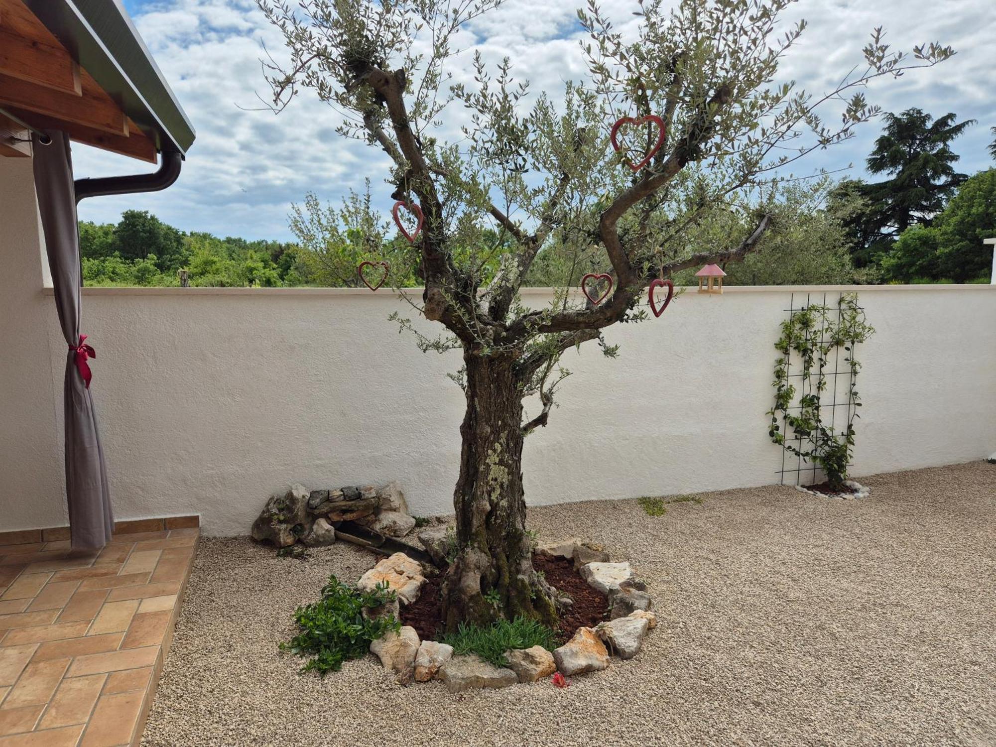 Apartment Vinja Porec - Privat Garden - Whirlpool Dış mekan fotoğraf