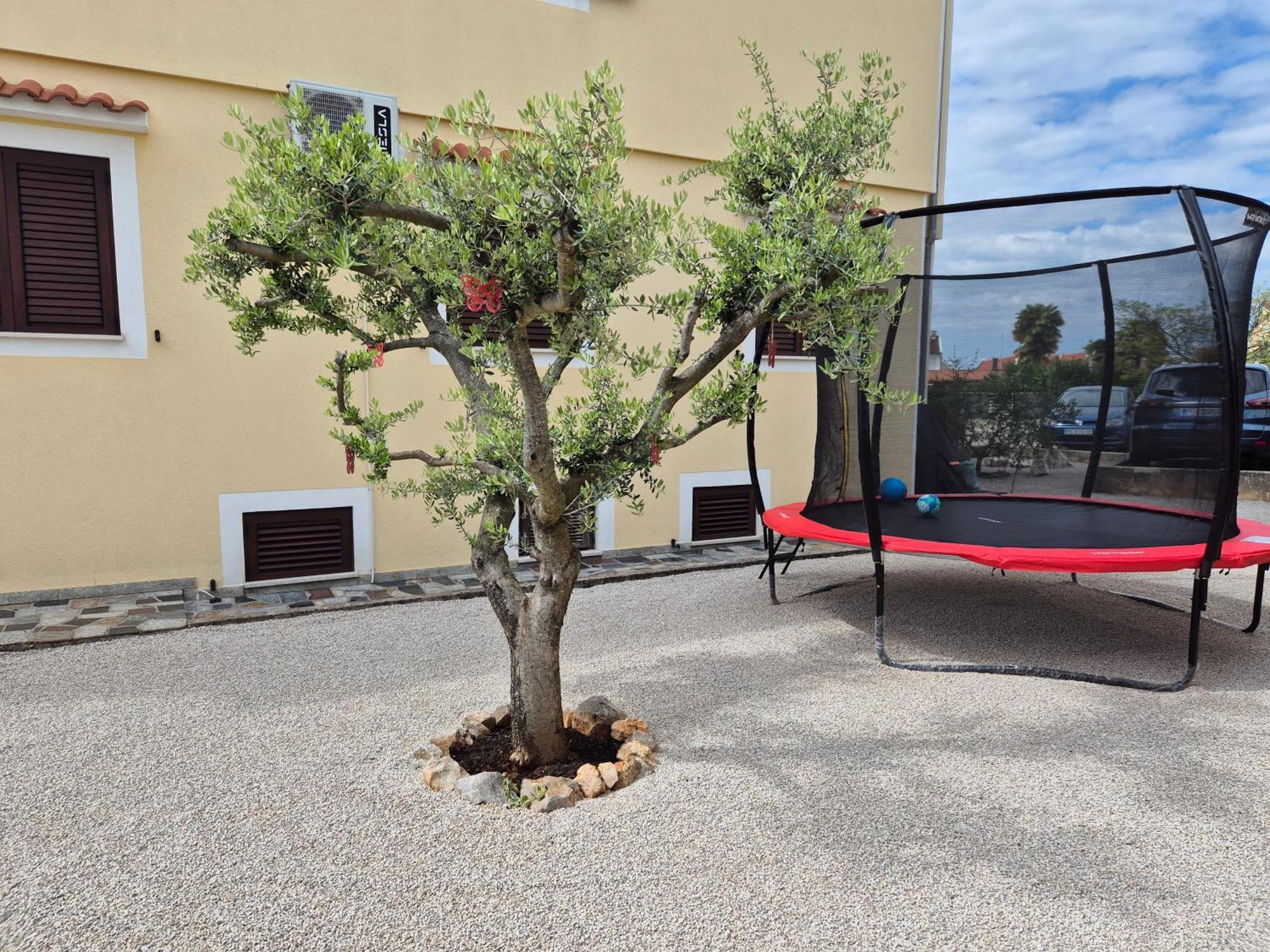 Apartment Vinja Porec - Privat Garden - Whirlpool Dış mekan fotoğraf